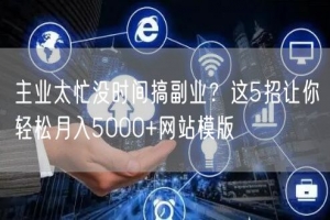 主业太忙没时间搞副业？这5招让你轻松月入5000+网站模版